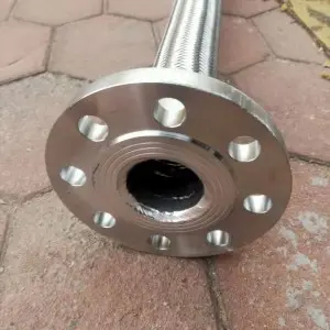 Hot-selling Flexible Metal Hose with Connectors