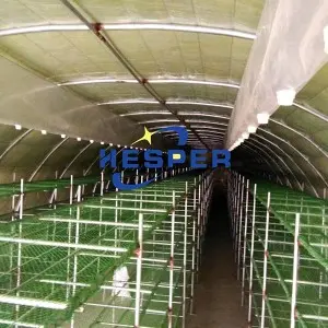 Bottom price High Quality Long Environmentally Water Use PE Dripped Layflat Hose for Drip Irrigation