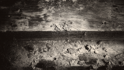 Top Strategies for Maintaining the Best Belt Cleaner Performance